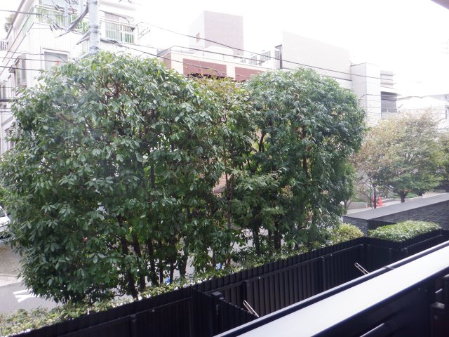 グランスイート広尾の展望