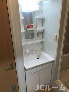 ルミエールK Aの洗面所