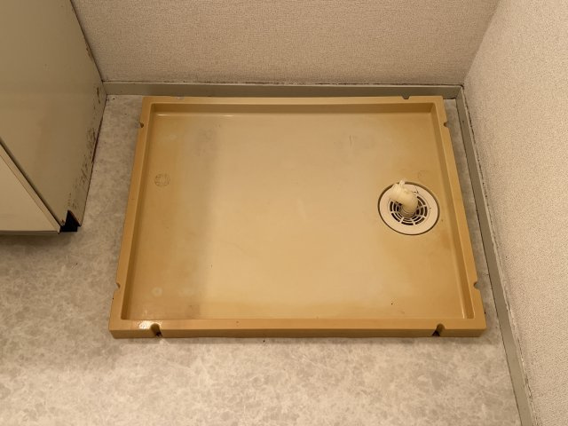 エルダー佐々木のその他