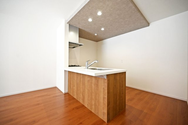 テラシエ池尻新築3丁目一戸建て│4LDK+並列駐車2台可(車種制限有)丁目のキッチン|キッチン上部は折下天井を採用でデザイン性を向上させています。ダウンライトを4基採用し、作業性を確保。