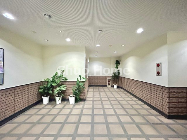 ダイアパレス元浅草Ⅱのエントランス|エントランス