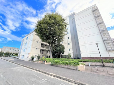 【外観】 | 妙蓮寺コーポラス | ◆管理体制良好なマンションです。清潔感のあるエントランスに開放感のある住環境。