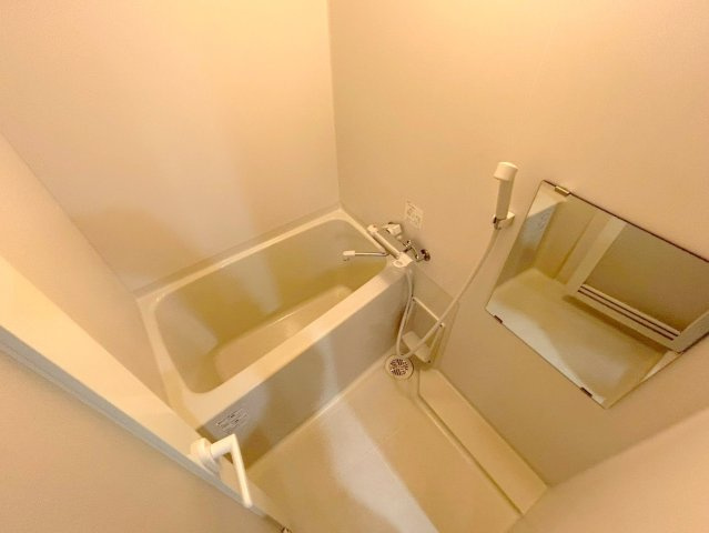 アネシス新大阪の浴室