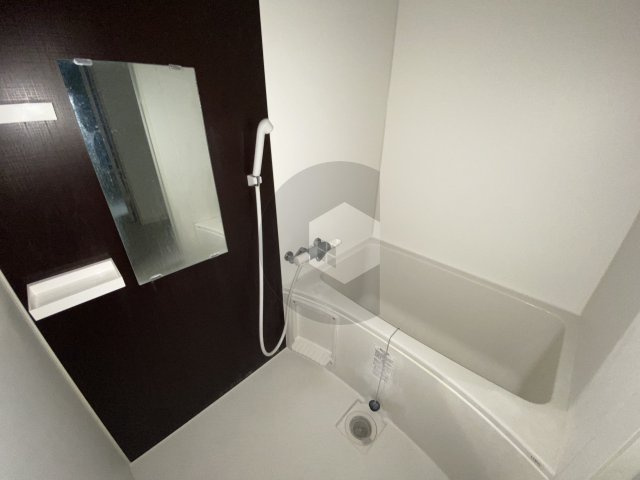 Mark Villa水走の浴室