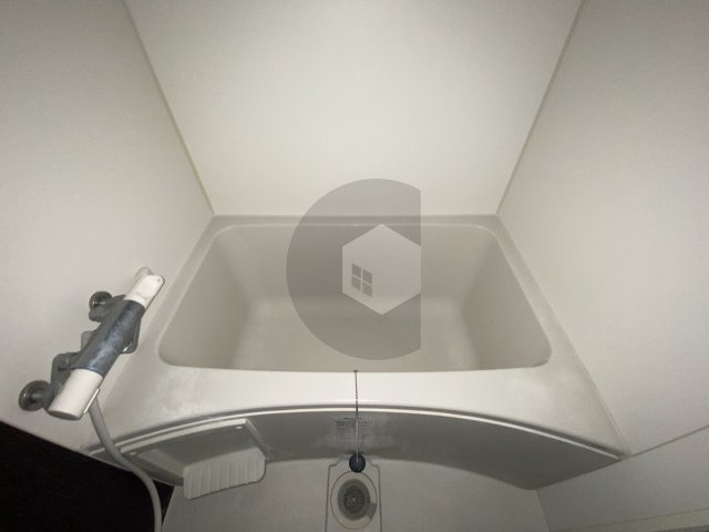 Mark Villa水走の浴室