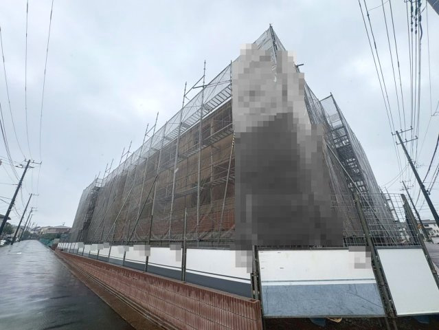 ジャスミンの画像