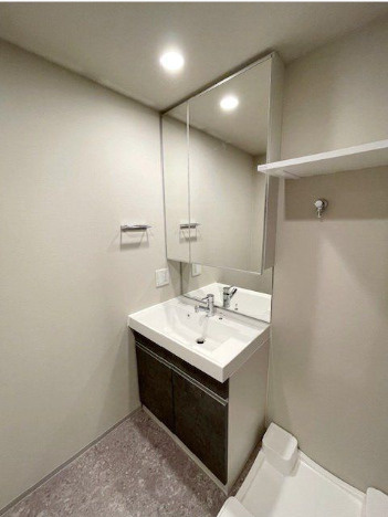 ラグゼナ用賀　駅近　礼金0　ペット相談　敷金0の洗面所