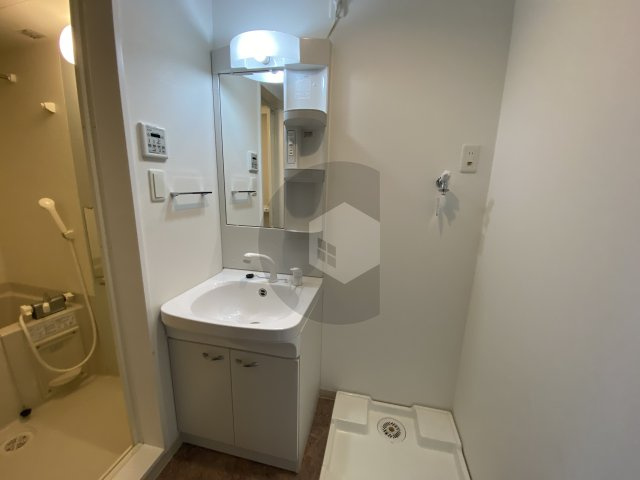 東大阪市花園本町２丁目のアパートの独立洗面台