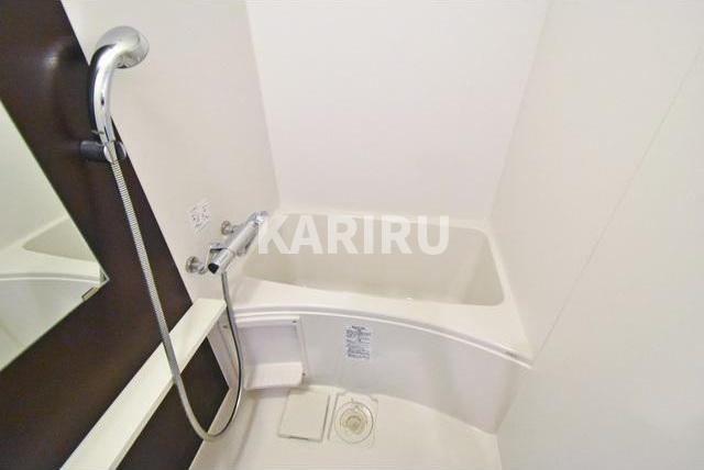 エスリード梅田グレイスの浴室