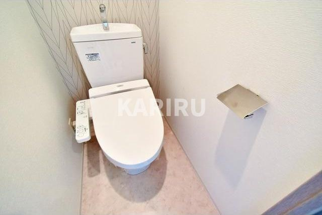 エスリード梅田グレイスのトイレ