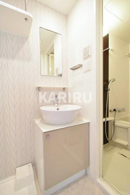 エスリード梅田グレイスの洗面所