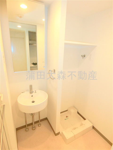 ロアール多摩川南六郷の洗面所|独立洗面台