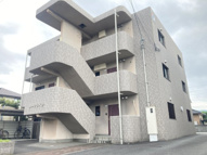 リーフライツの画像