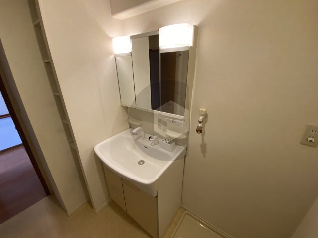 ディオフェルティ花園の独立洗面台