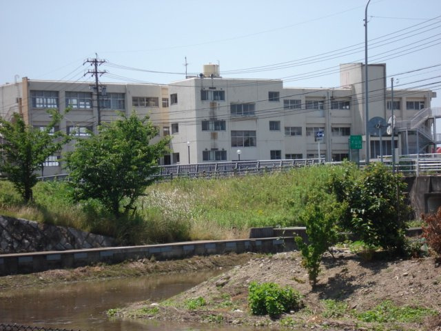 エンジョイ　ライフの周辺|新栄小学校まで480ｍ