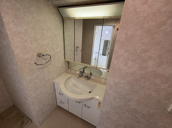 パレソレイユ西新宿の独立洗面台