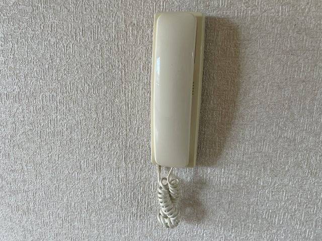 エーデルハイムCのセキュリティ