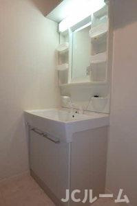 ベル・ネージュAの洗面所