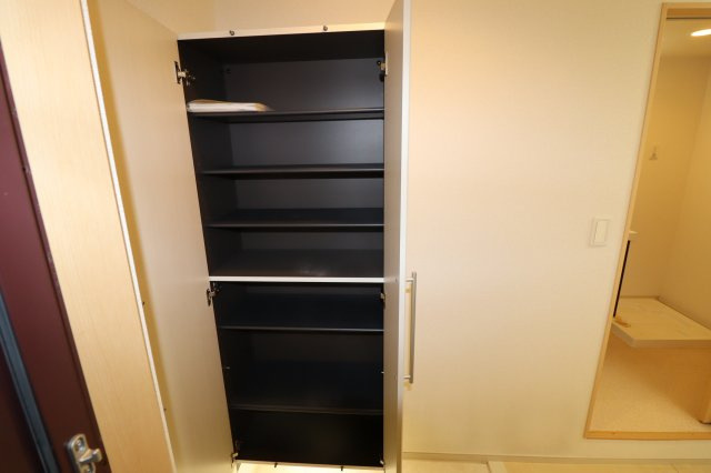 パレス龍大の収納|大容量シューズボックスがあります