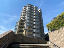 コラム神泉の画像