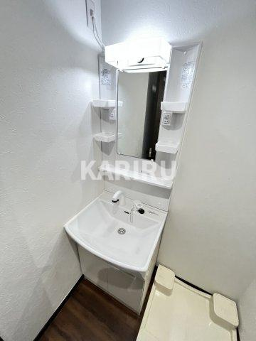 ドゥエリング森小路の洗面所