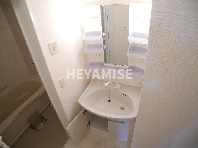 メゾン・ラ・パトリアEの洗面所|※室内画像は別号室のもの