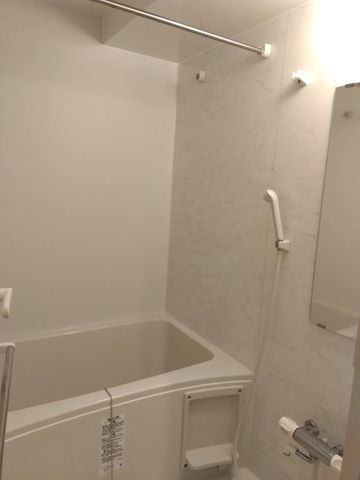 デュオフラッツ飯田橋ＥＡＳＴの浴室