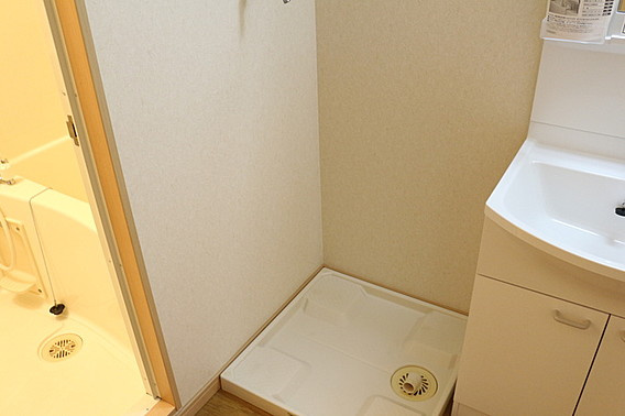 スーペリア本山の洗面所