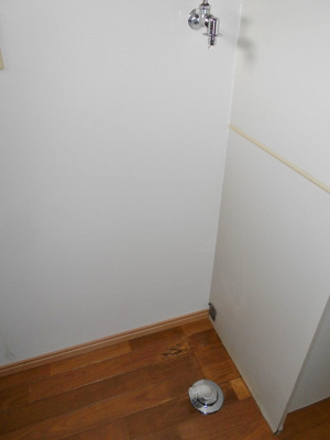 【その他】 | シリウスα