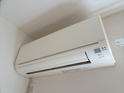 【その他】 | ジボワール