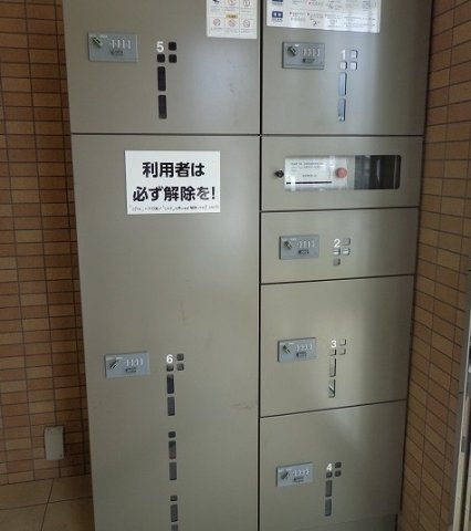 プラシード・ボスコのその他