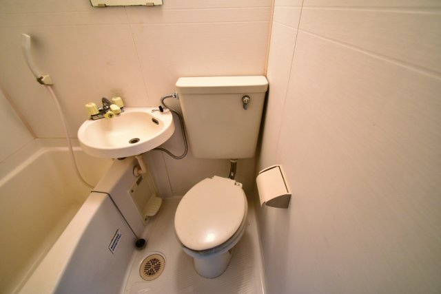 モン・シャンブルの洗面所