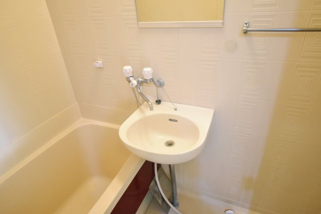 Royale離宮西宮の洗面所