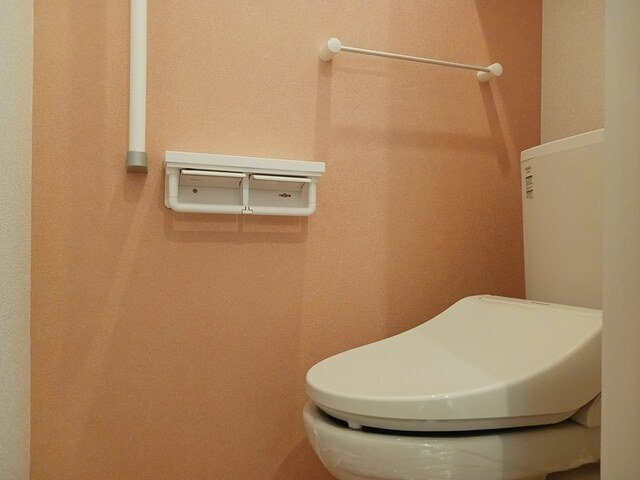 ロハス　Ⅲのトイレ|トイレです