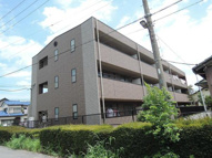 アンプルール　フレアの画像