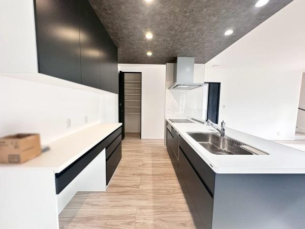 タマタウン岩出駅前2　新築戸建　4号棟のキッチン