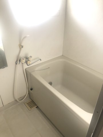 APTフレマリールの浴室