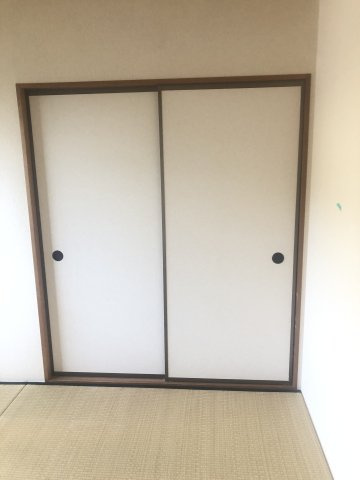 APTフレマリールのその他