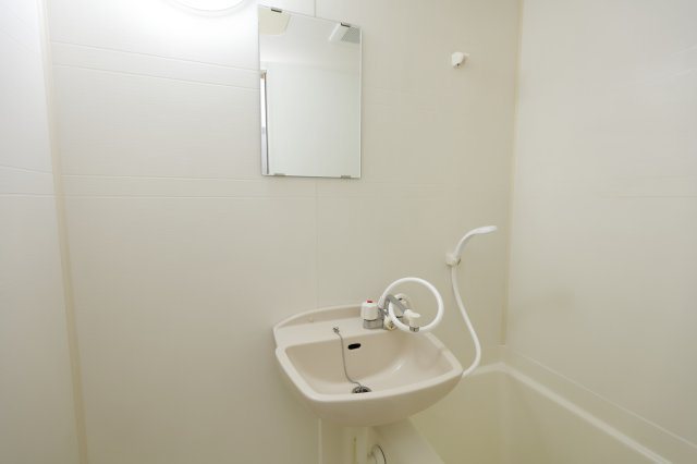 アネシスⅠの洗面所