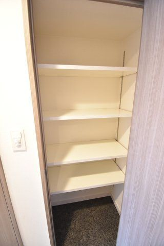 プレサンス谷町九丁目ディセオの収納