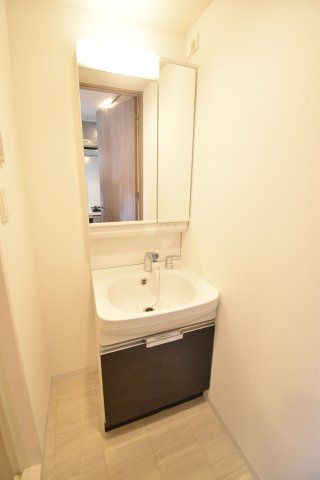 プレサンス谷町九丁目ディセオの洗面所