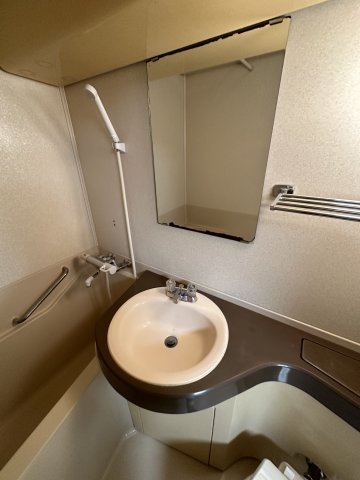 ライオンズマンション平沼第2の洗面所