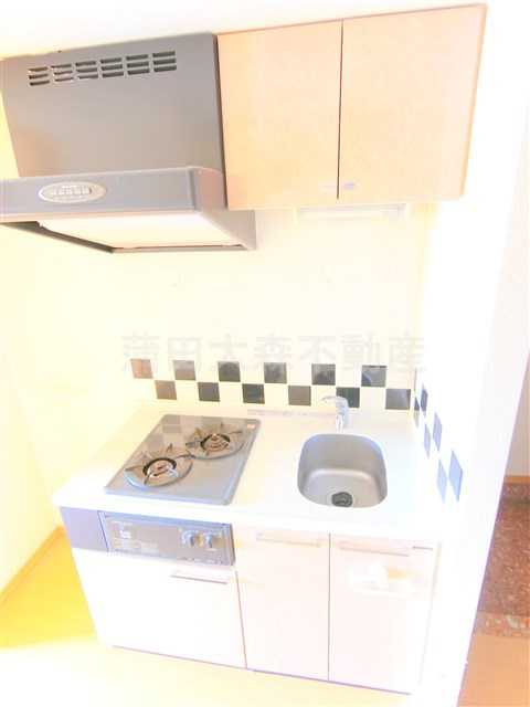 エル・ドゥーチェ蒲田のキッチン|2口ガスシステムキッチン　