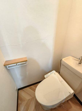 熊本市中央区妙体寺町の賃貸マンションのトイレ