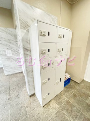 【設備】 | ステラ向野