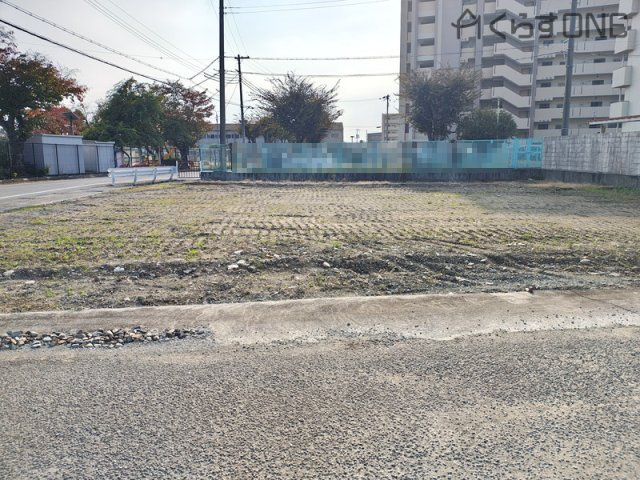【その他】 | 姫路市花田町高木／売土地 | 【店舗】観葉植物がいっぱいの明るい店舗です♪