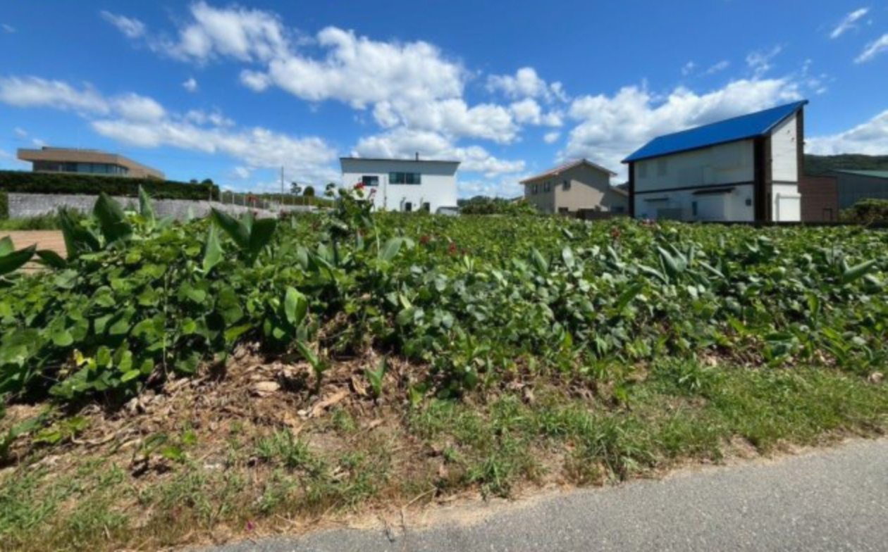 糸島市志摩芥屋　売り土地