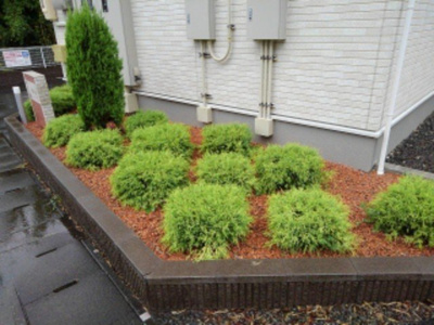 【その他】 | ラティア