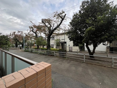 【展望】 | カスタリア八雲