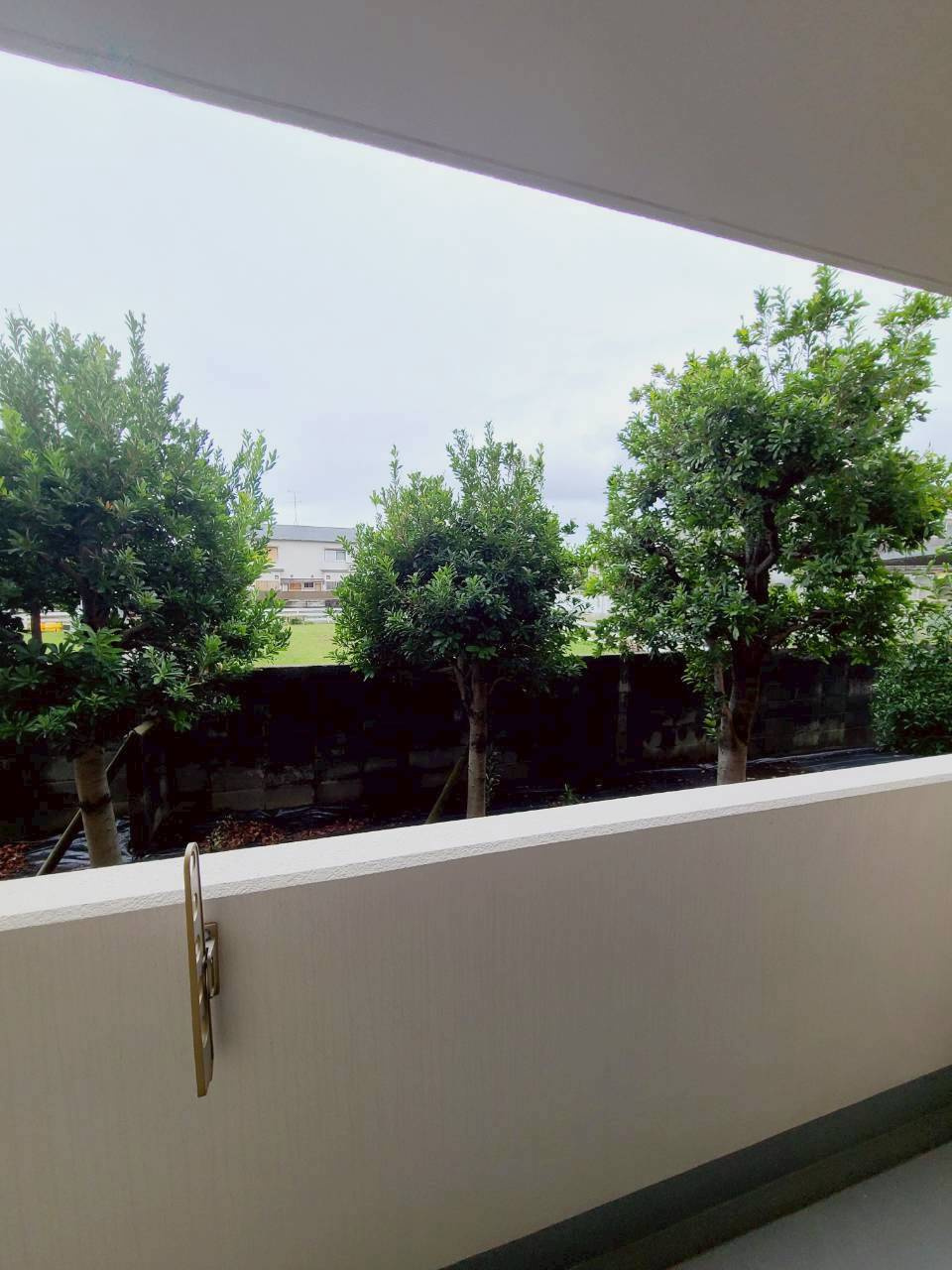 ヴェルドミールカミロクの洗面所